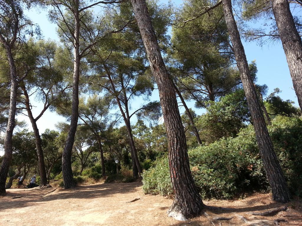Bel Appart Style Vintage Vue Mer La Londe-les-Maures Rum bild