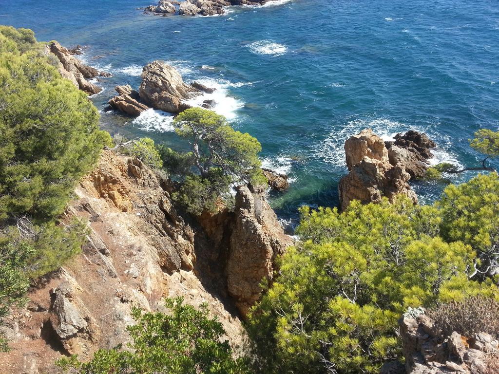 Bel Appart Style Vintage Vue Mer La Londe-les-Maures Exteriör bild
